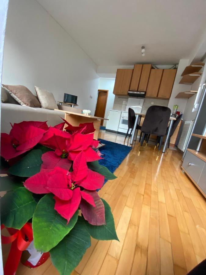 Tea Apartment Скоп'є Екстер'єр фото